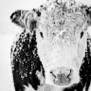 Meet your Posher, Valentina